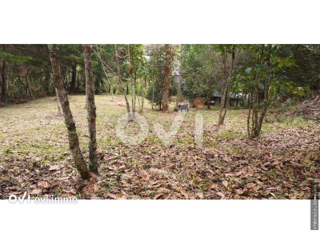 Lote en Aeropuerto Jose Maria Cordova, Rionegro