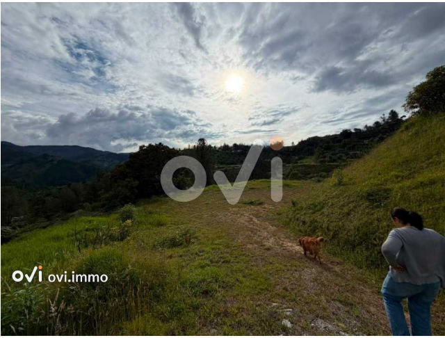 Lote en El Retiro