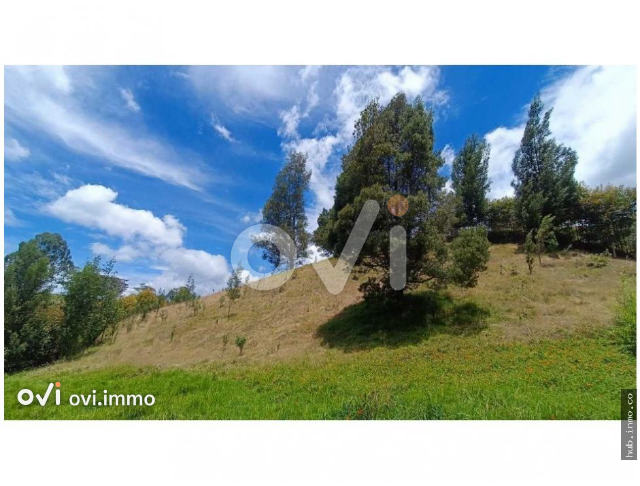Lote en Bello