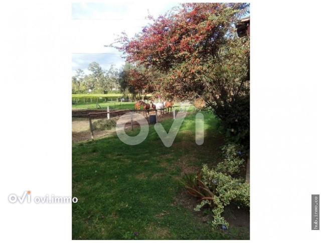 Lote en Vereda Fagua, Chía