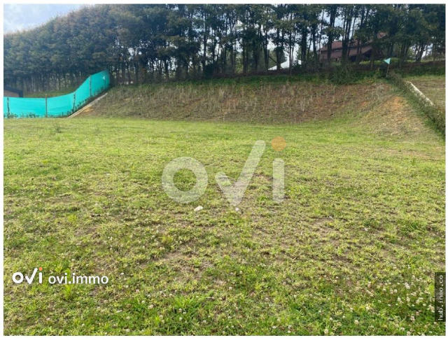 (LOTE) (Rionegro, Via Aeropuerto)