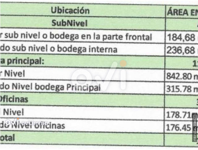 (BODEGA) (Primavera)