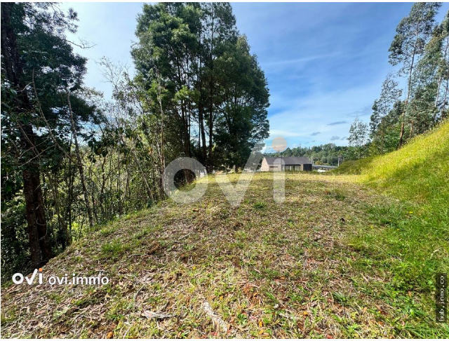 Lote en Alto de las Palmas, Envigado