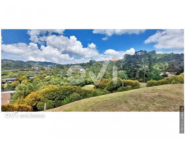 (LOTE) (Las Palmas)