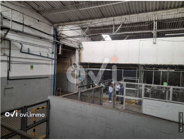 (BODEGA)  (Pilsen)