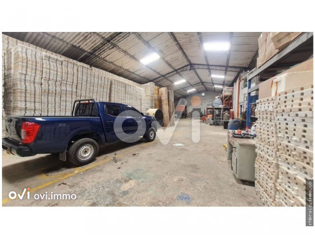 (BODEGA en bello)