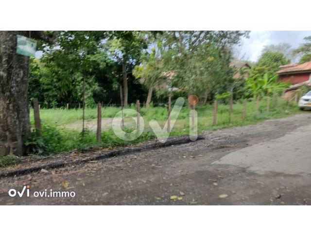 (LOTE) (San Vicente Ferrer)