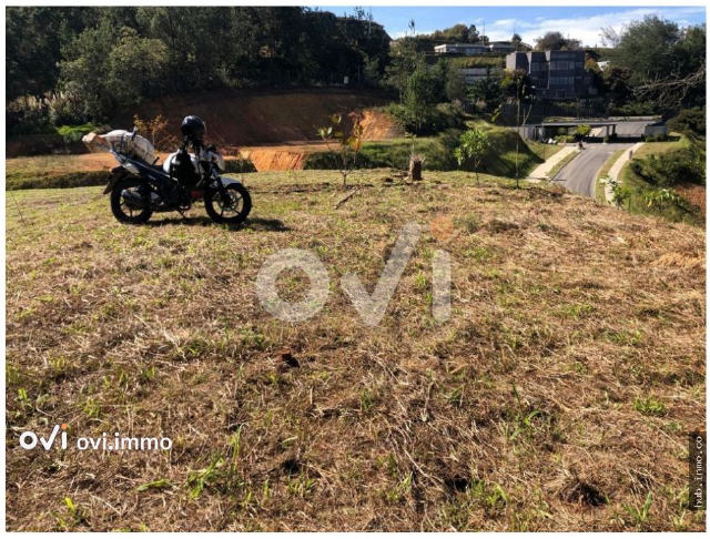 (LOTE) (Alto Palmas)