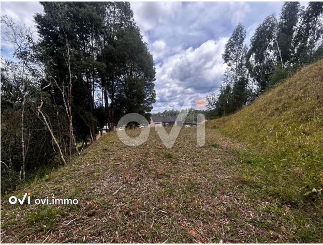 Lote en Alto de las Palmas, Envigado