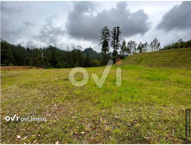 Lote en Pantanillo, El Retiro