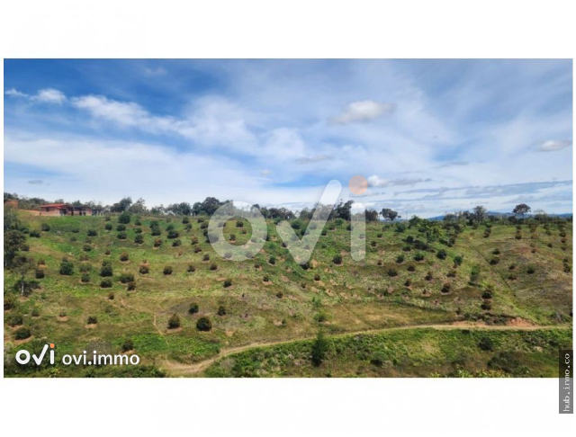 (FINCA) (San Vicente Ferrer)