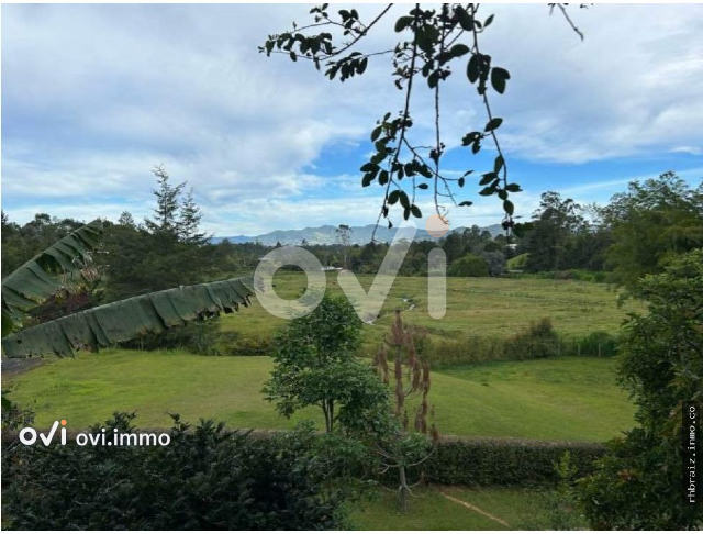 (LOTE) (Rionegro)
