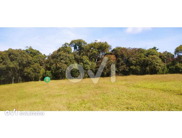Lote en La Ceja
