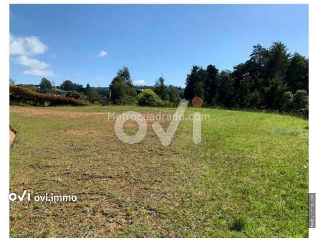 (LOTE) (La Selva, La Ceja)