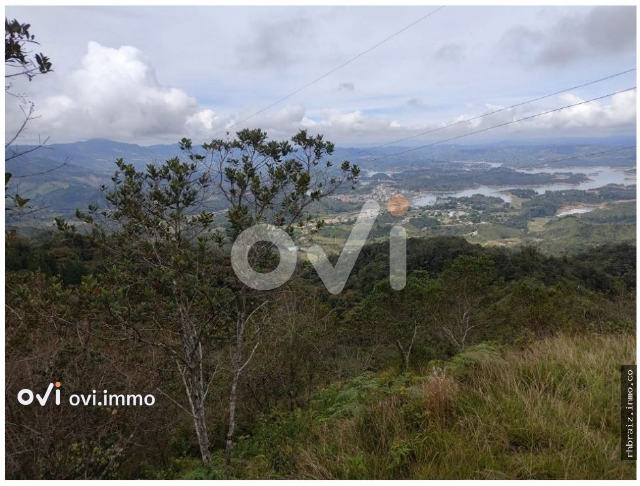 Lote en Guatapé