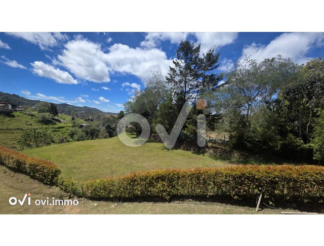 (LOTE) (Alto de las Palmas)