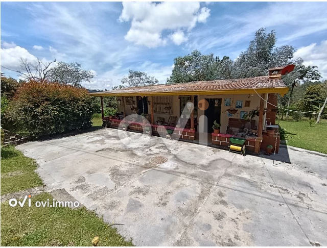 (FINCA) (Santa Elena Santa)