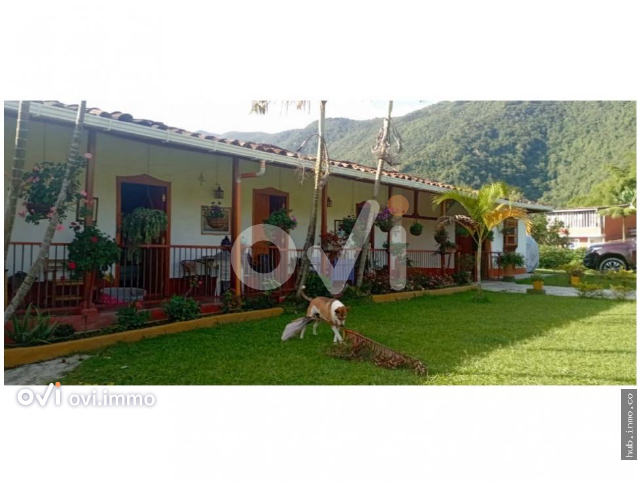 (FINCA) (Vesalles, Antioquia)