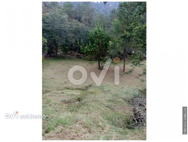 (LOTE) (Terreno Loma Del Escobero El)