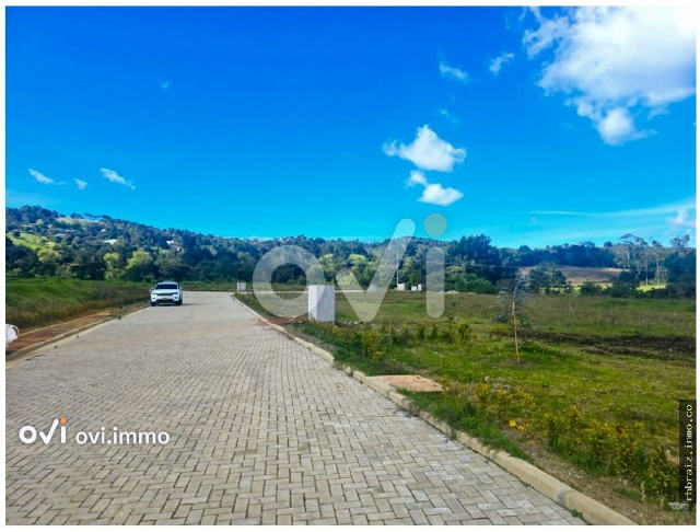 (LOTE) (Terreno Alto Palmas)