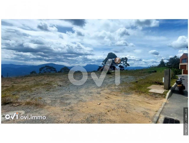 (LOTE) (Terreno Alto De Las Plamas)