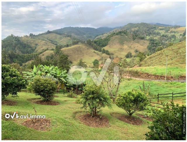 Lote en Vereda Puente Pelaez, Oriente, El Retiro
