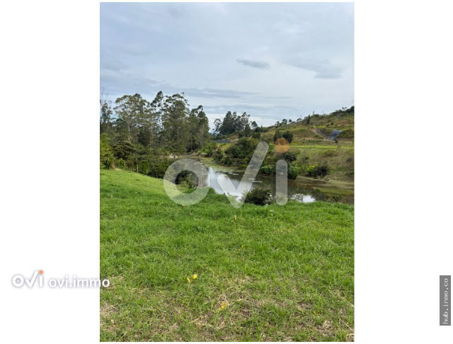 Lote en Sajonia, Rionegro