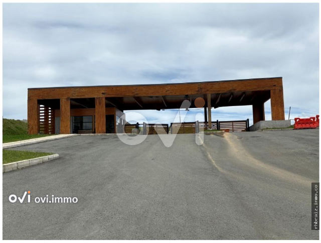 (LOTE) (Las Palmas)