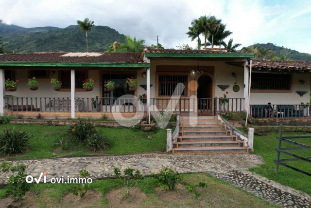 Finca en Popalito, Barbosa