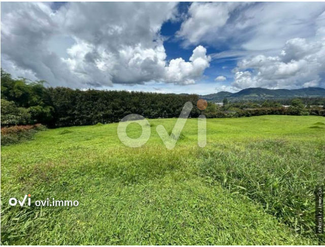 LOTE TAMAÑO VISTA LA CEJA EL CAPIRO