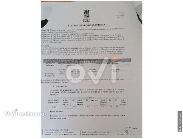 (LOTE) (Primavera)