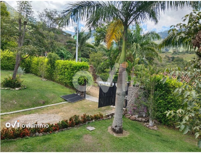 Finca en Vereda Quimbayo, San Jerónimo