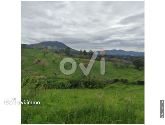 Lote en El Yarumo, La Ceja
