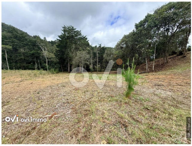 (LOTE) (Via El Retiro, La Ceja)