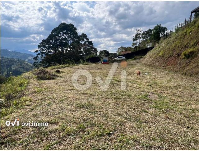 (LOTE) (El Salado)