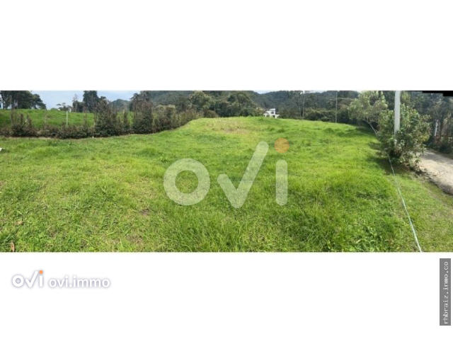 LOTE LA CEJA, VEREDA LA CRISTALINA