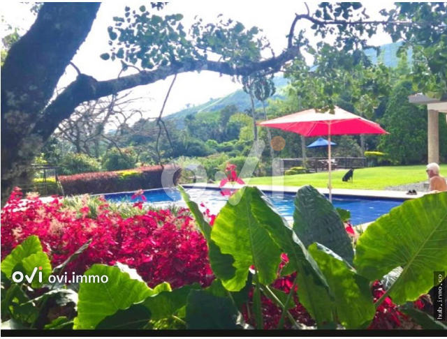 (FINCA) (La Siria)