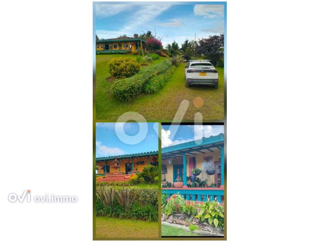 (FINCA) (Rionegro)