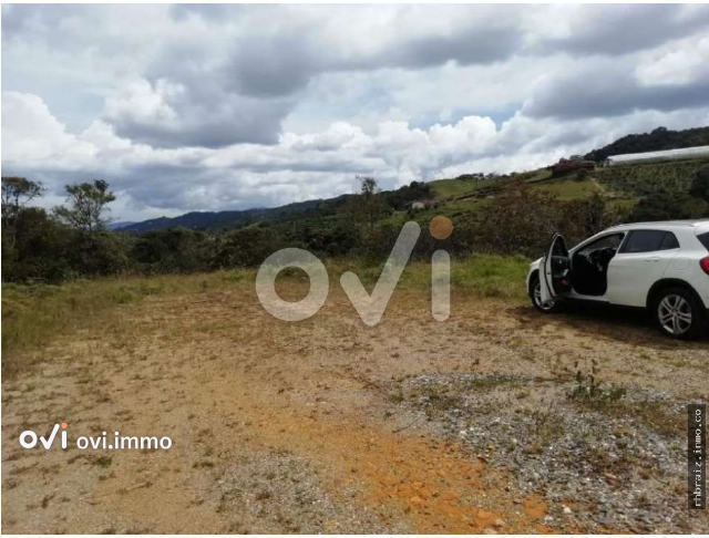 Lote en Vereda Pantanillo, Envigado