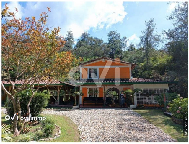 (FINCA) (San Rafael)