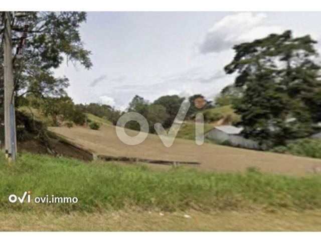 (LOTE) (Medellin)
