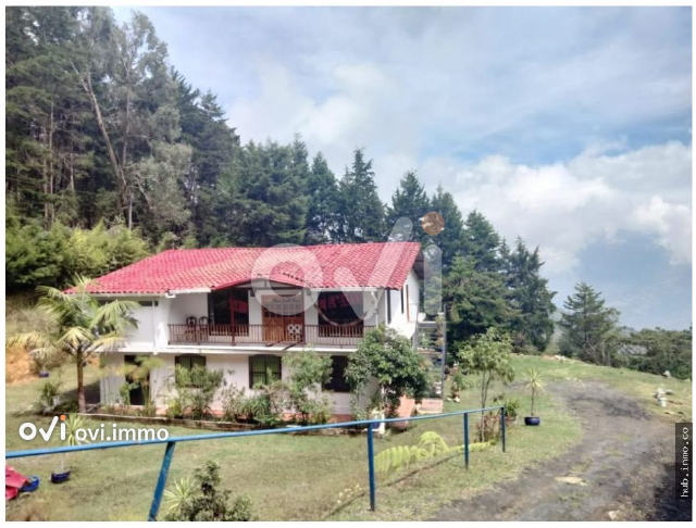 (FINCA) (El Cabuyal Santa)