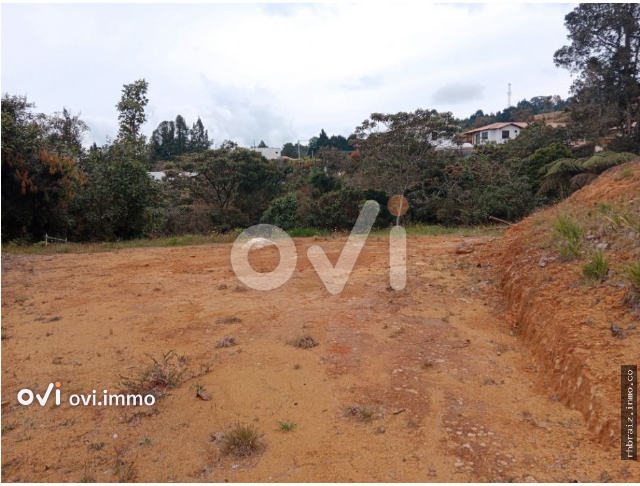 (LOTE guarne Alto de la Virgen)