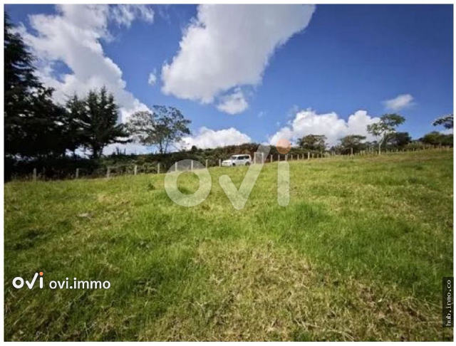 (LOTE) (San Pedro de los Milagros)