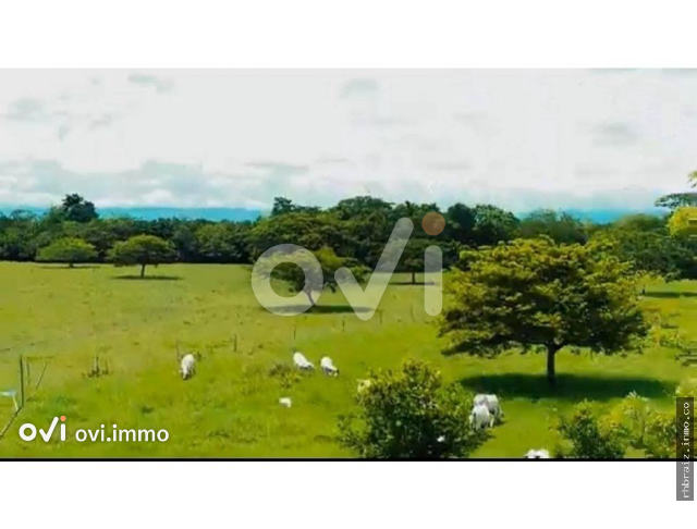 (FINCA LOTE) (Puerto Boyaca)