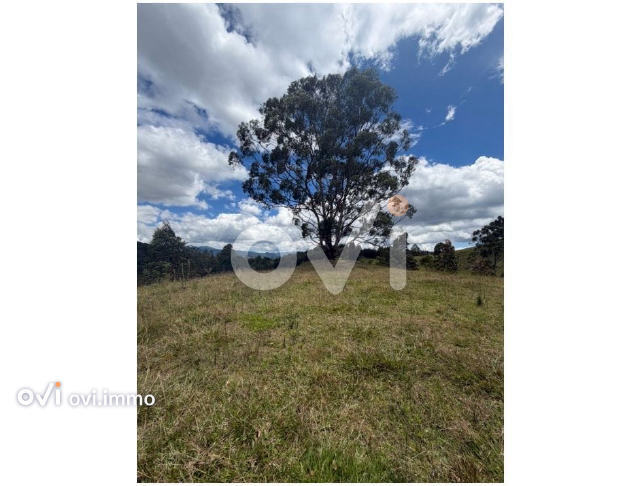 Lote en Pantanillo, El Retiro