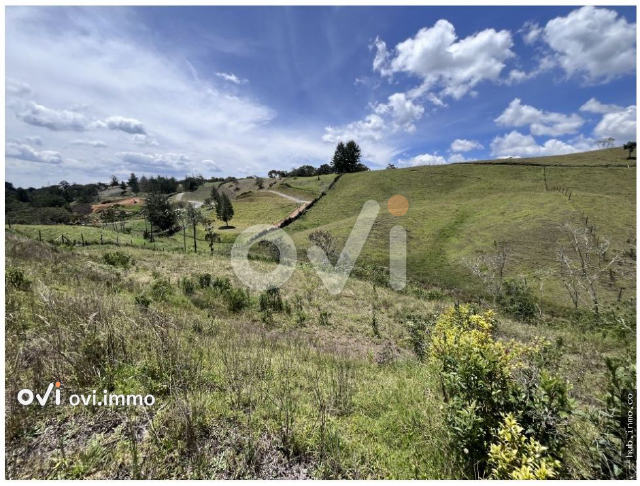 Lote en El Carmen de Viboral