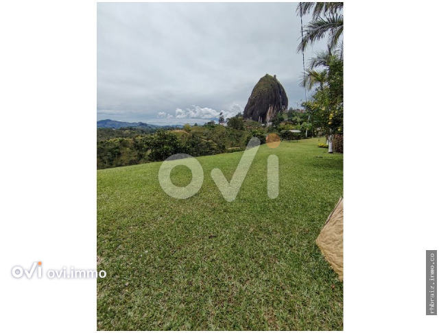(LOTE) (piedra)